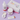 Women’s Perfume Bath & Body Fragrance Gift Set