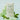Wild Mint Breeze Soy Wax Melt Snap Bar | Fresh Peppermint & Cool Mint