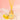 Daisy Petal and Musk Reed