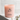 Rose Garden Soy Wax Candle – English Rose & Soft Musk Fragrance