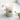 Petal & Musk Daisy Soy Wax Candle | Fresh Floral Spring Home Fragrance